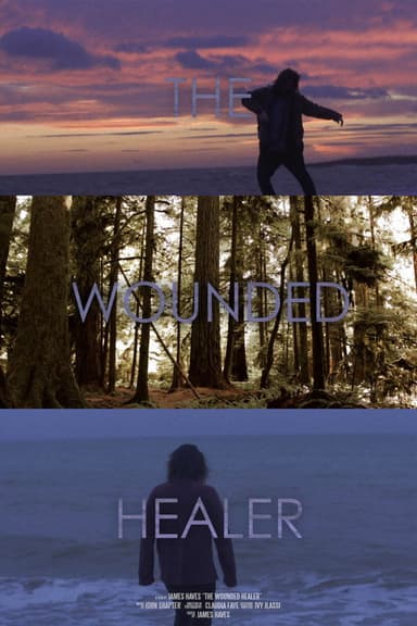 The Wounded Healer poster