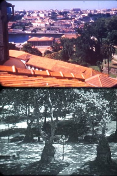 Porto Landscape poster