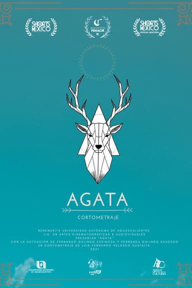 Ágata poster