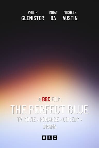 The Perfect Blue poster