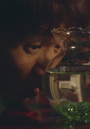Corydoras poster