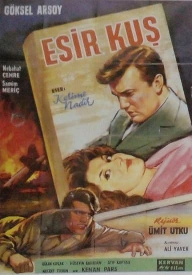 Esir Kuş poster