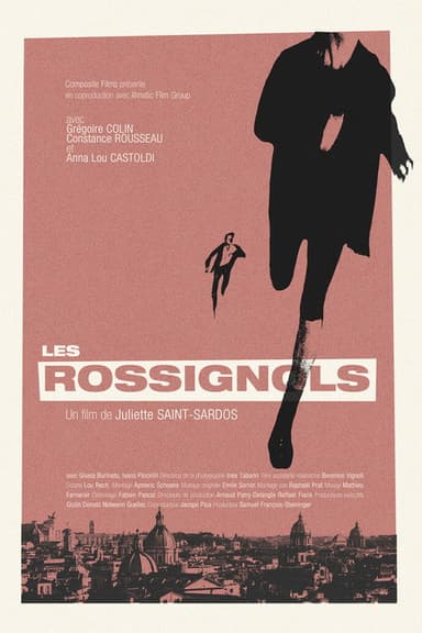 The Nightingales poster