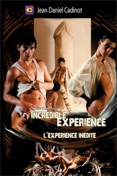 Incredible Experience poster
