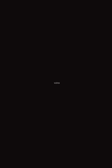 Vulva poster