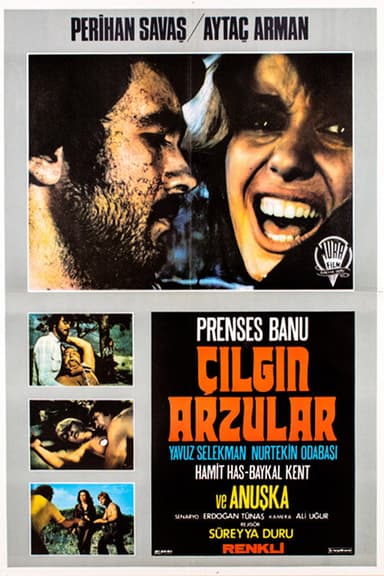 Çılgın Arzular poster