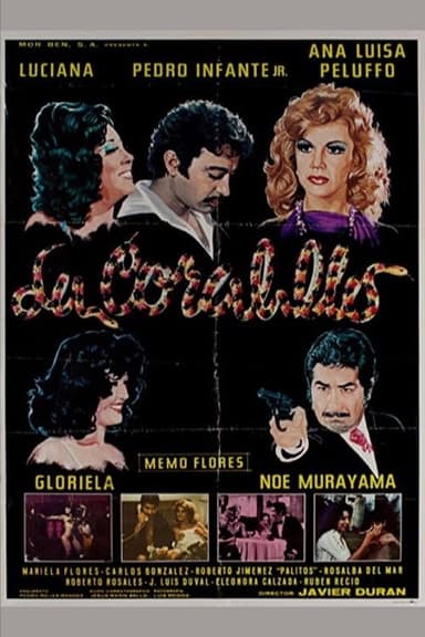La coralillo poster