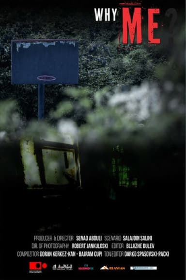 Why Me? poster