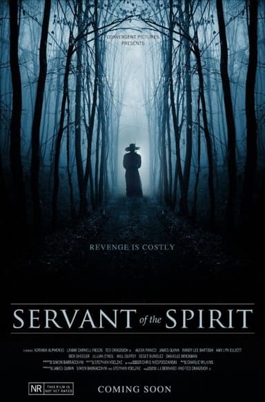 Servant of the Spirit poster