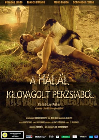 Death Rode out of Persia poster