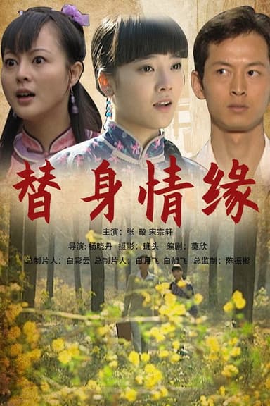 替身情缘 poster