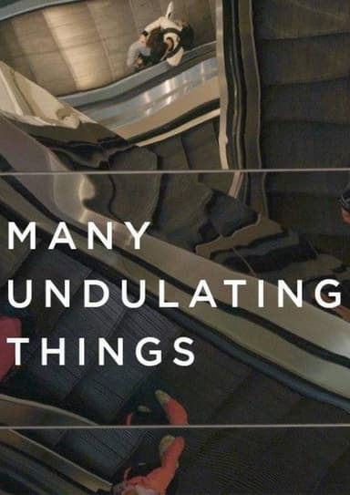 Many Undulating Things poster
