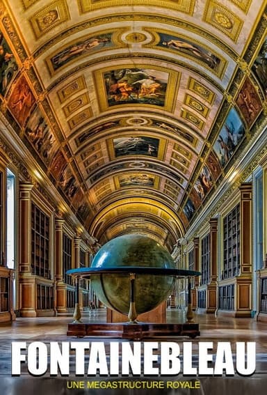 Fontainebleau : une mégastructure royale poster