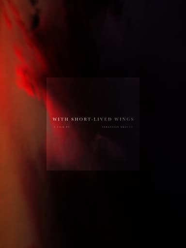 With Short-Lived Wings poster