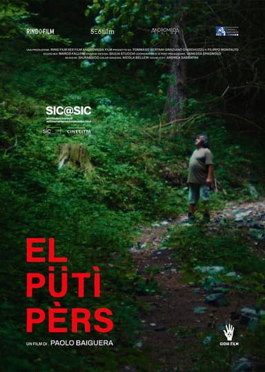 The Lost Child poster
