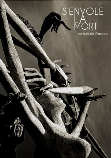 S'envole la mort poster