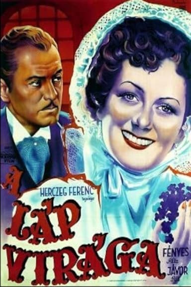 A láp virága poster