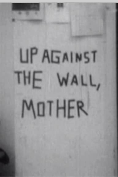 Up against the wall, motherfuckers! poster