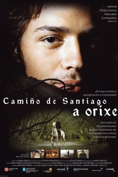 Camino de Santiago: El Origen poster