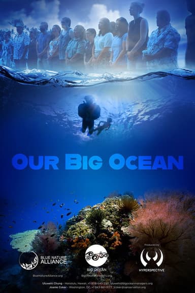 Our Big Ocean poster