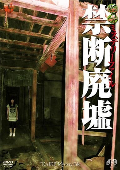 Bizarre Mystery File: Forbidden Ruins poster