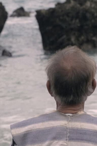 Lanyu — Three Stories poster