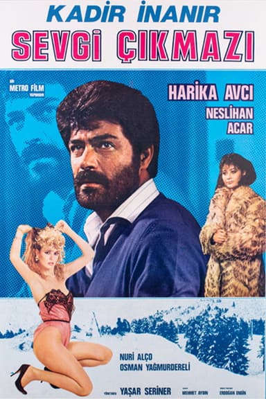 Sevgi Çıkmazı poster