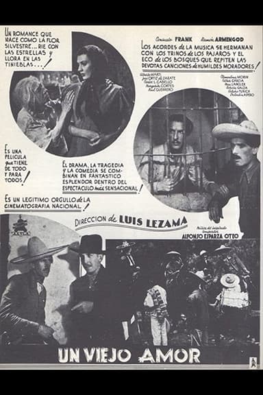 Un viejo amor poster