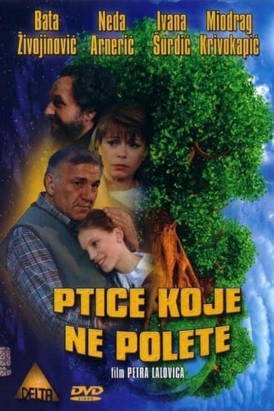 Some Birds Can't Fly poster