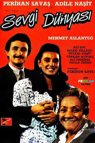 Sevgi Dünyası poster