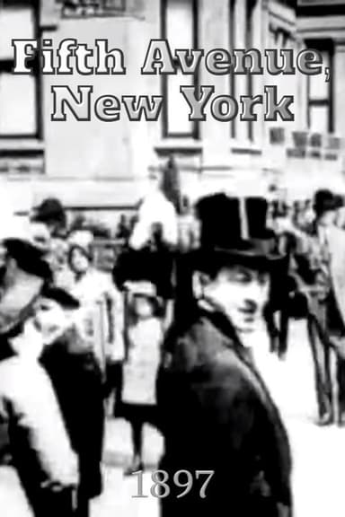 Fifth Avenue, New York poster