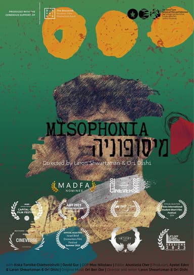 Misophonia poster