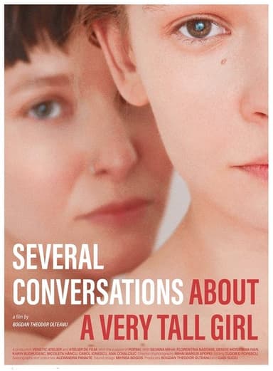 Several Conversations About a Very Tall Girl poster