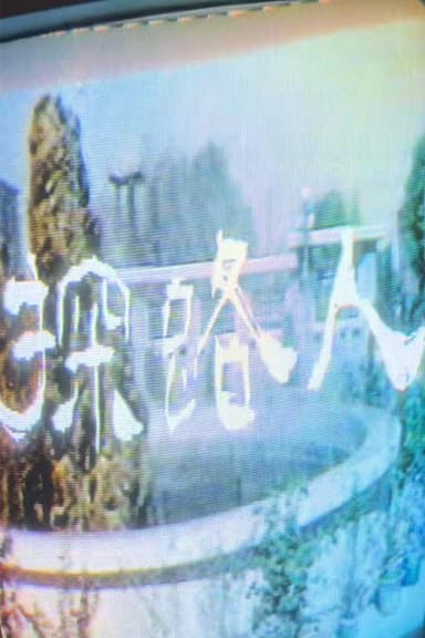 探路人 poster