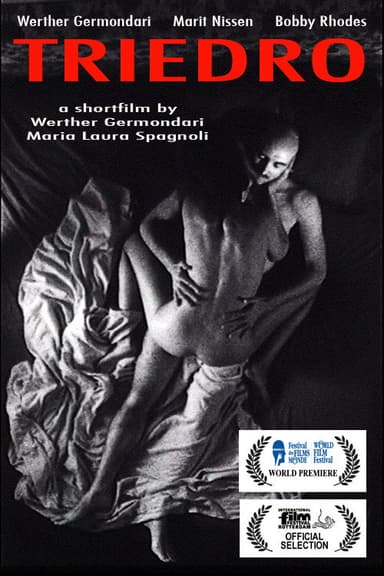 Triedro poster