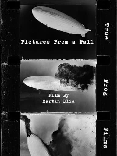 Pictures From a Fall poster