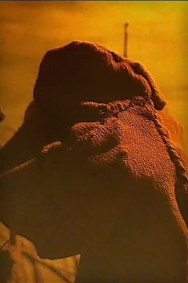 In the Desert poster