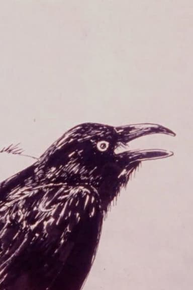 Crow poster
