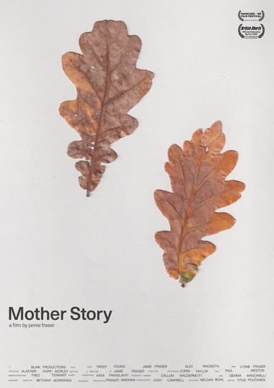 Mother Story poster