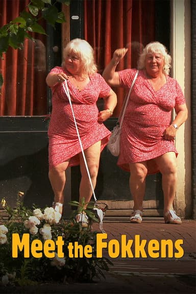Meet the Fokkens poster