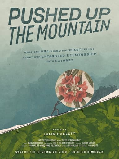 Pushed Up The Mountain poster