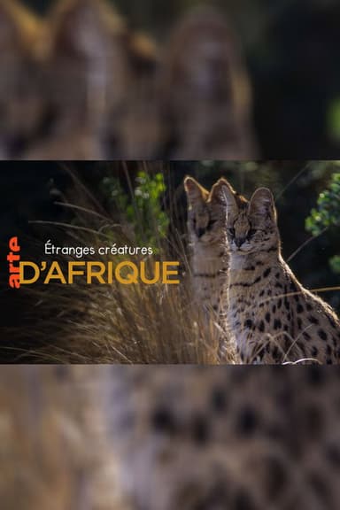 Le monde caché des étranges créatures d'Afrique poster