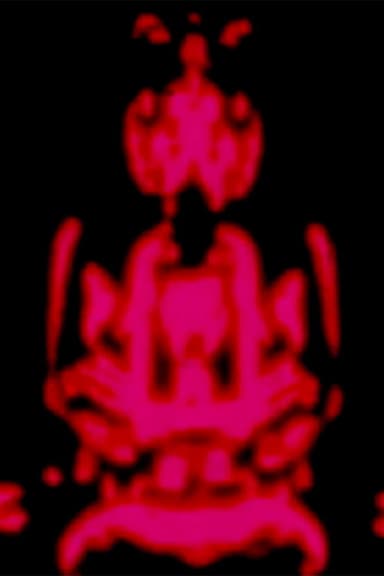 The Star Curtain Tantra poster