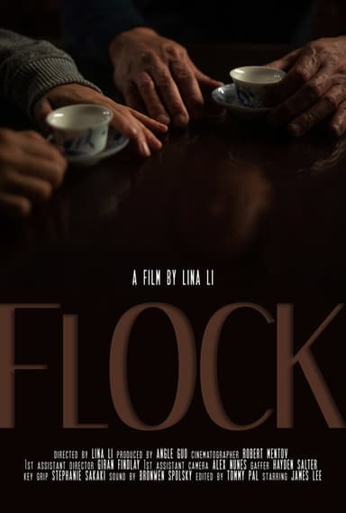 Flock poster