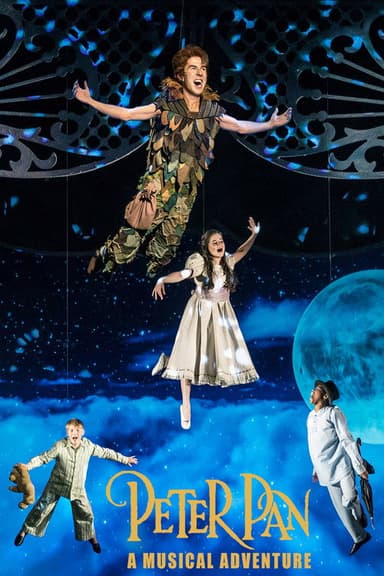 Peter Pan: A Musical Adventure poster
