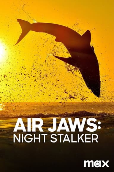 Air Jaws: Night Stalker poster