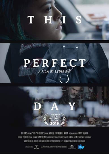 This Perfect Day poster