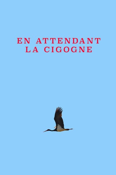 Waiting For The Stork poster