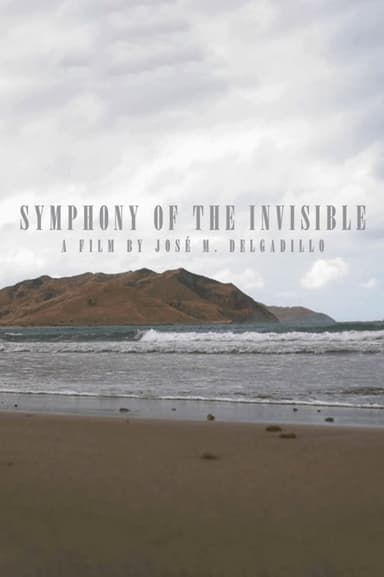 Symphony Of The Invisible poster