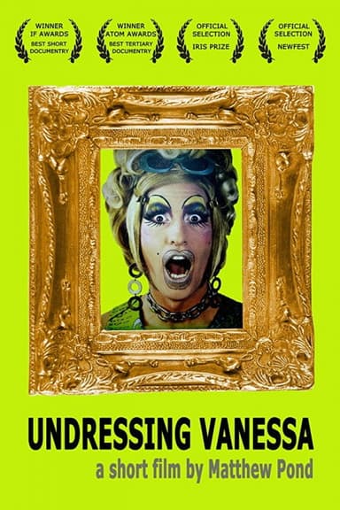 Undressing Vanessa poster
